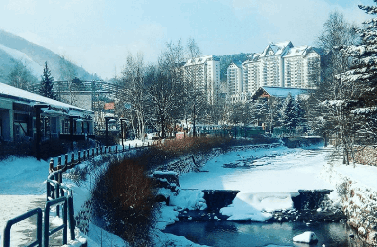 5 Fun Things To Do in This Bitter Korean Winter